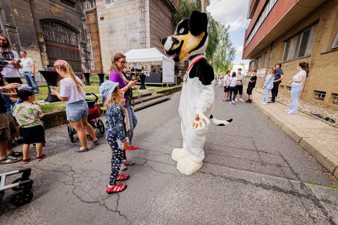 Foto ze Seznam Festu 255