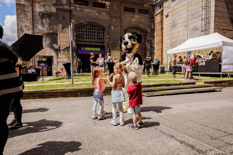 Foto ze Seznam Festu 257