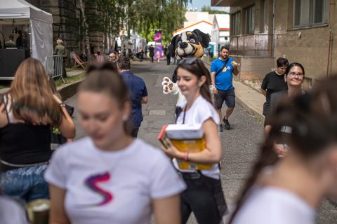 Foto ze Seznam Festu 385